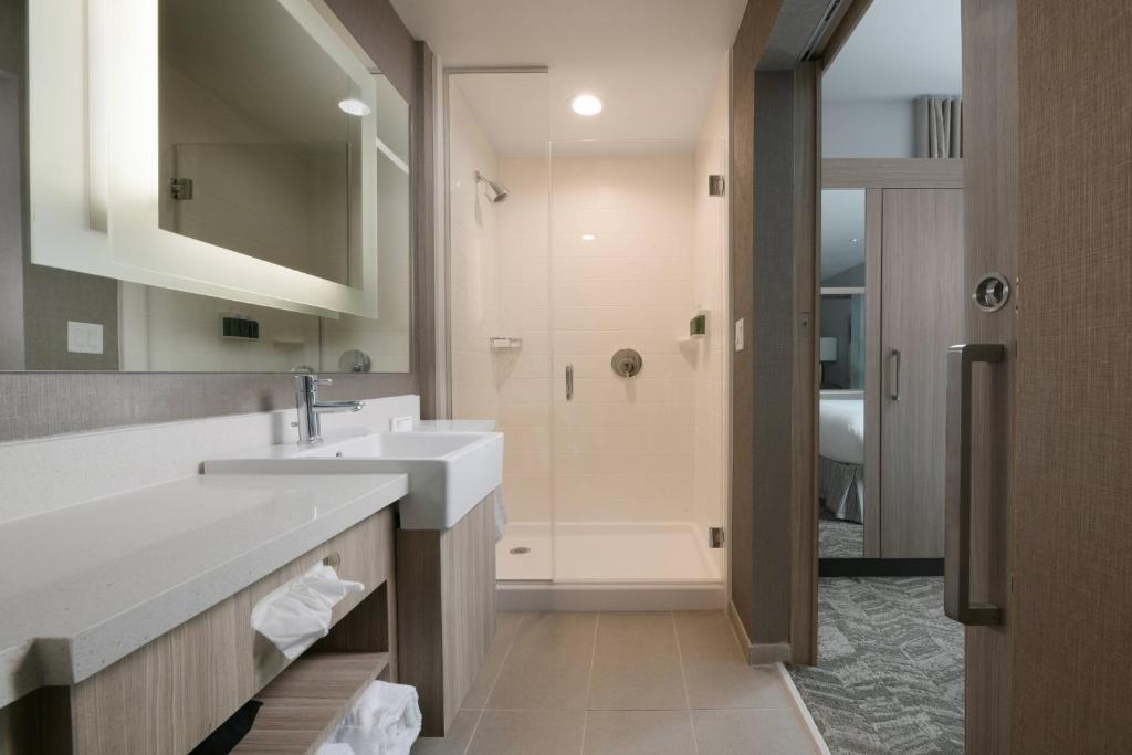 Koupelna v ubytování SpringHill Suites by Marriott Texas City