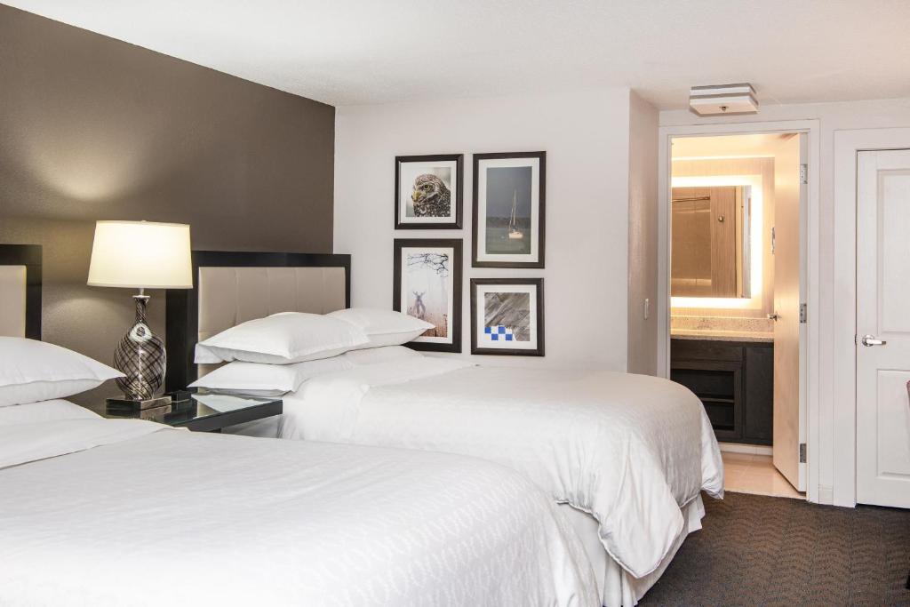 Sheraton Minneapolis West Hotel photo