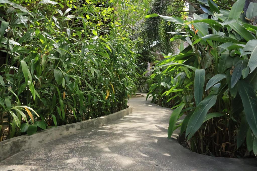 Garden and Bar