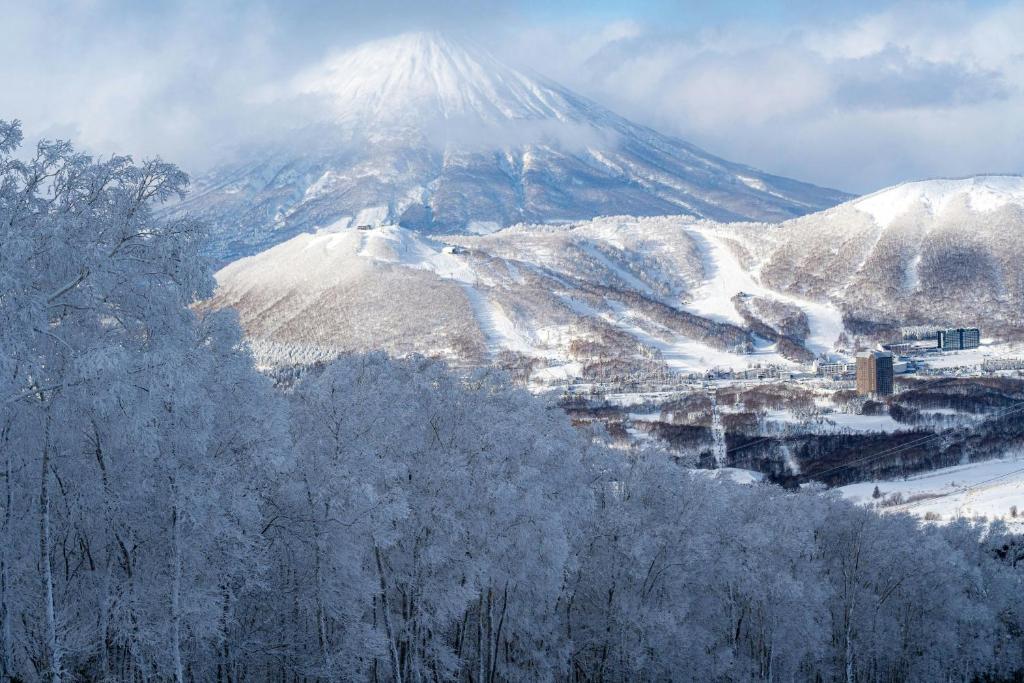 ホテルから撮影された、または一般的な山の景色
