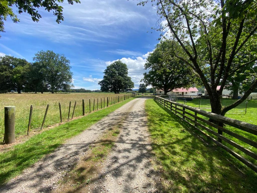 a dirt road in a field with a fence at Oultan Homestead Farm Stay in Ikamatua