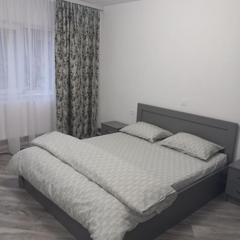 Postel nebo postele na pokoji v ubytování Apartament Ramnicu Valcea