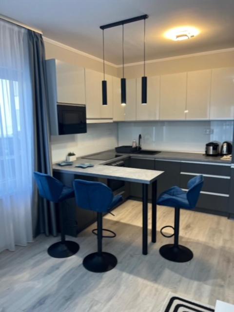 Kuchyň nebo kuchyňský kout v ubytování Komarom Luxe Apartment
