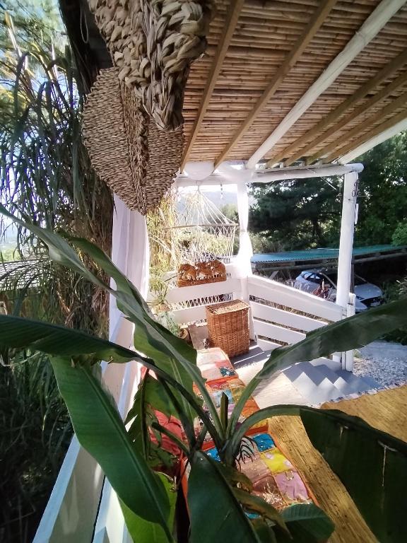 Zahrada ubytování Casas cerro