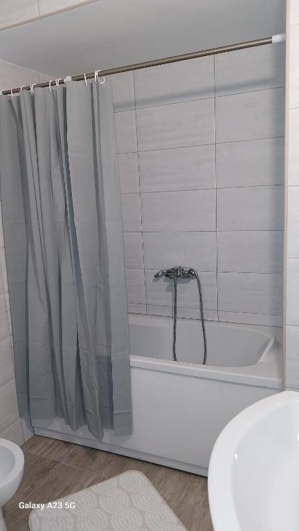Koupelna v ubytování Apartman Mina