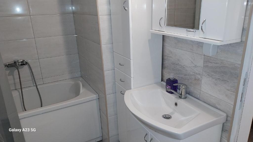 Koupelna v ubytování Apartman Mina