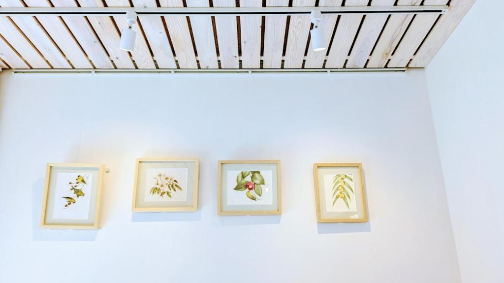Fotografie z fotogalerie ubytování 熊野ギャラリー のこのこ v destinaci Tanabe