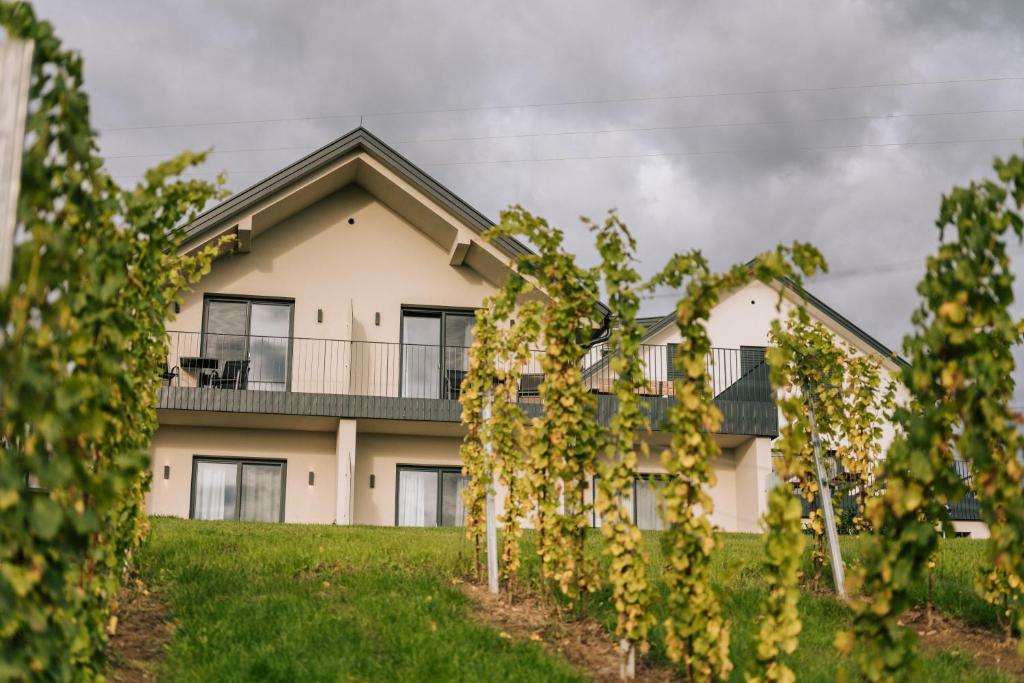 Zahrada ubytování Weingut Radl