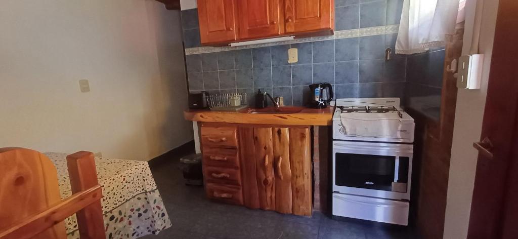 a small kitchen with a stove and a microwave at Alojamiento Rivadavia in El Bolsón