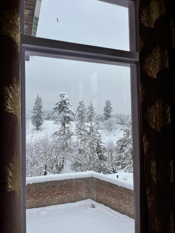 The Himalayan Nest v zimě