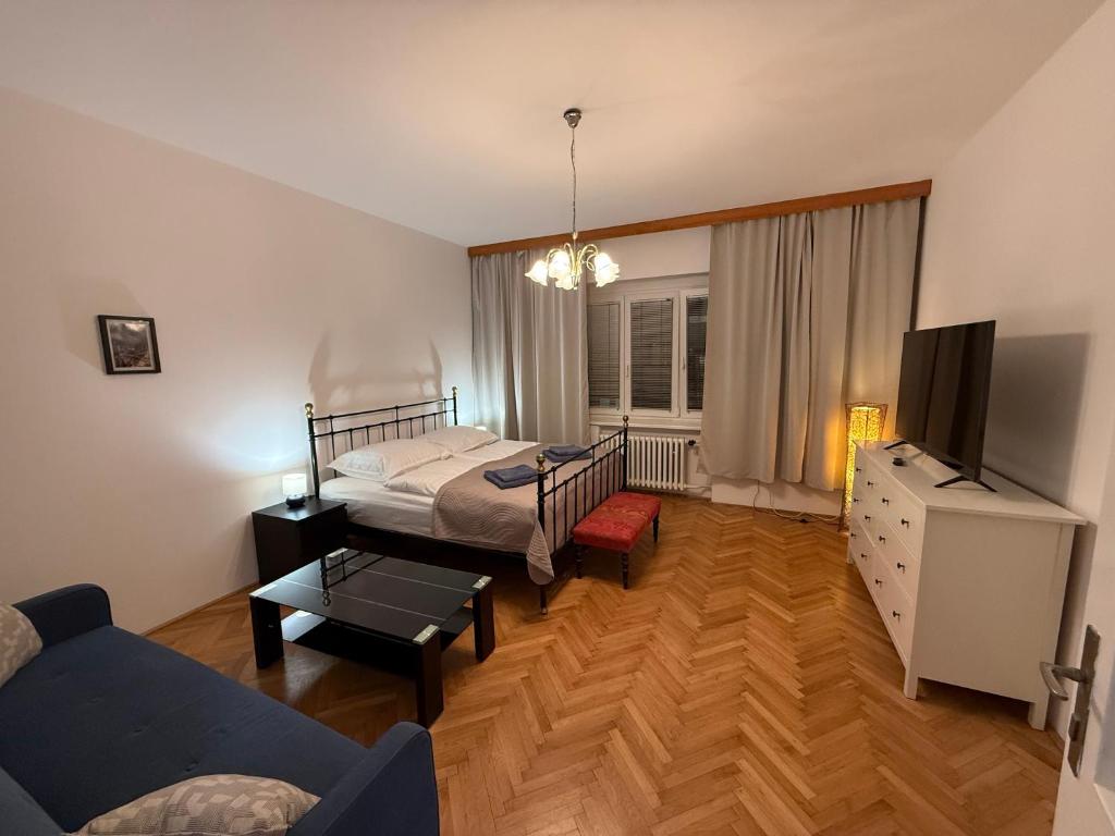 a bedroom with a bed and a couch and a tv at Apartment Justina in Staré Mesto