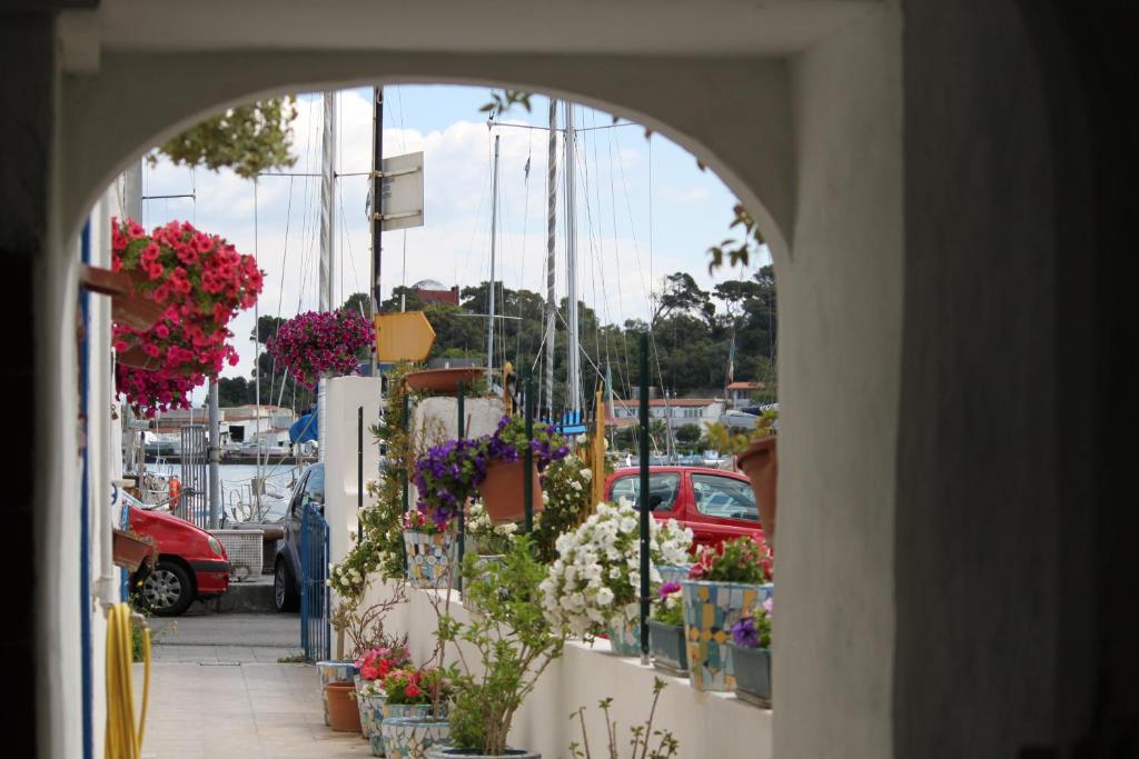 Zahrada ubytování Albergo Locanda Sul Mare