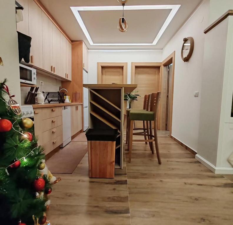 Η κουζίνα ή μικρή κουζίνα στο Apartman MPS Kopaonik-Free Spa