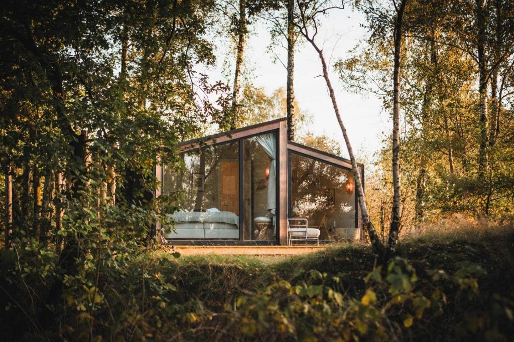 Zahrada ubytování Resort Wilsumer Berge