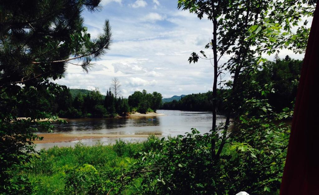 a view of a river with trees in the background at Le Chalet d'Isabelle in La Conception