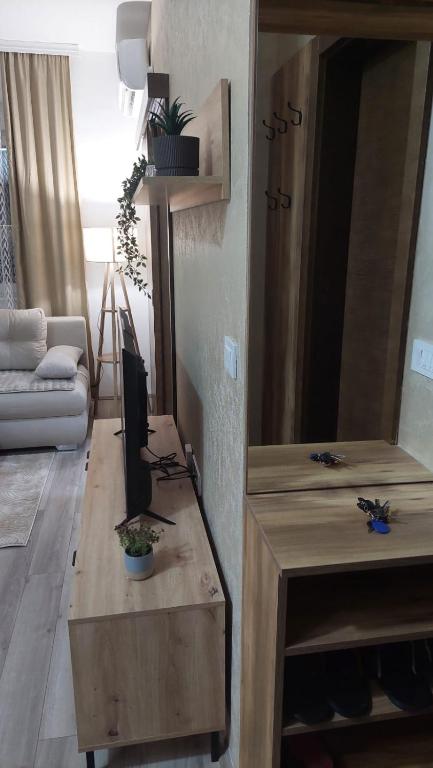 TV a/nebo společenská místnost v ubytování Apartmani Marjanovic Akva park Jagodina