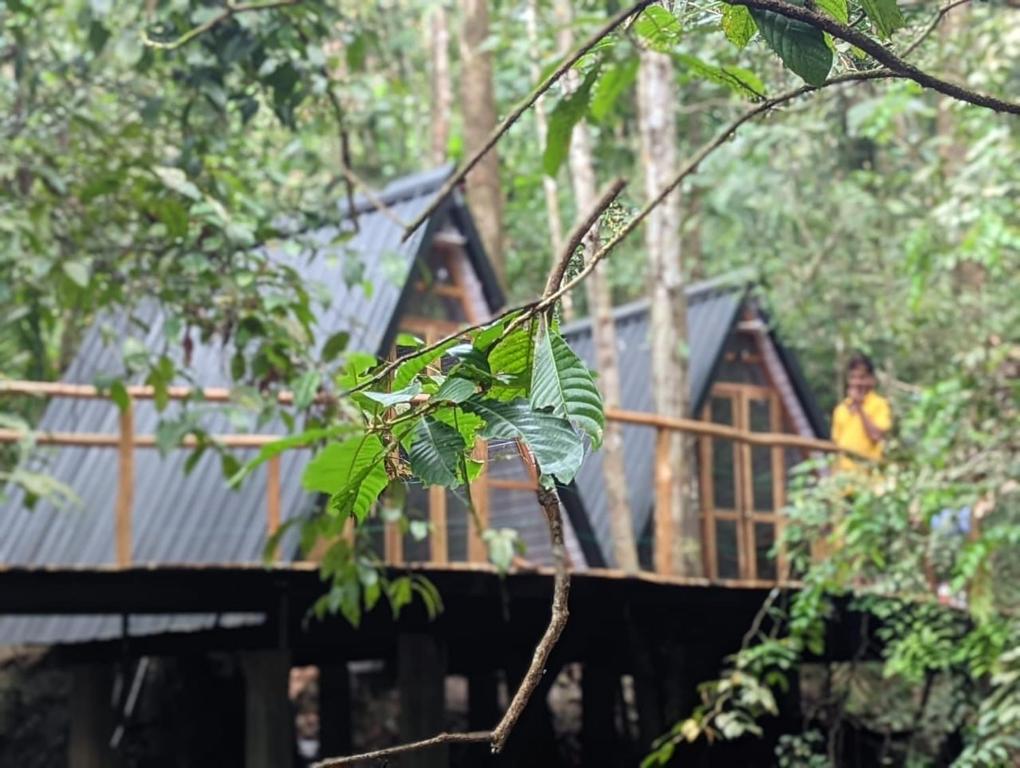 Fotografie z fotogalerie ubytování Sudagala Jungle Glamping v destinaci Ratnapura