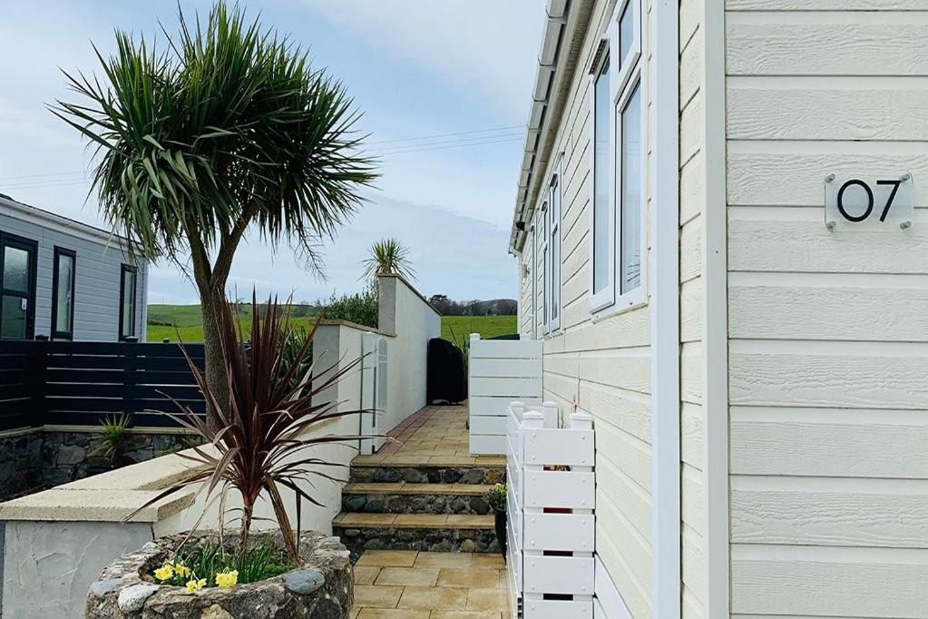 una casa con una palma accanto a un edificio di The Warren O7 ad Abersoch