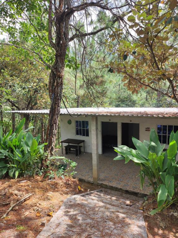 Casa Campo Loma Larga