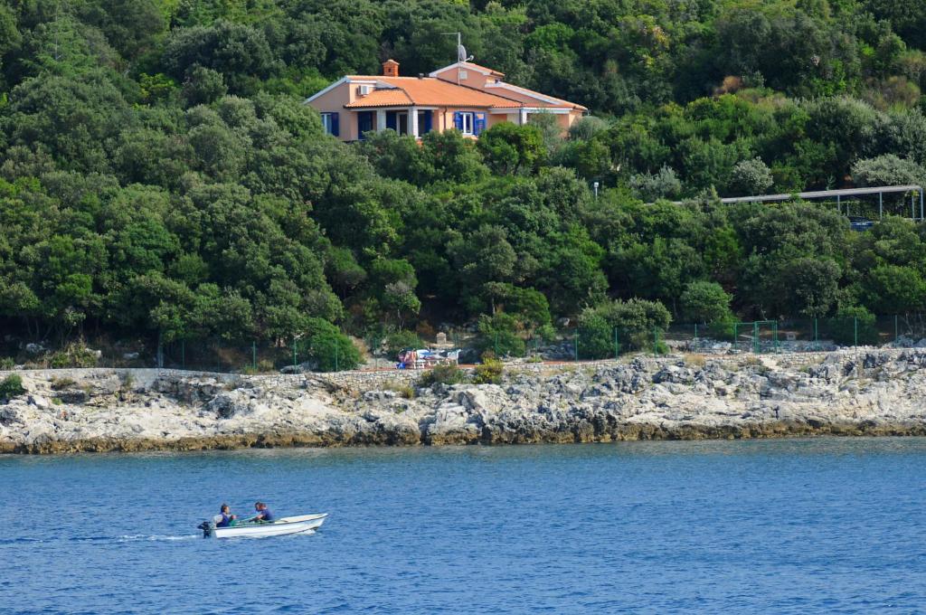 Příroda nedaleko apartmánu