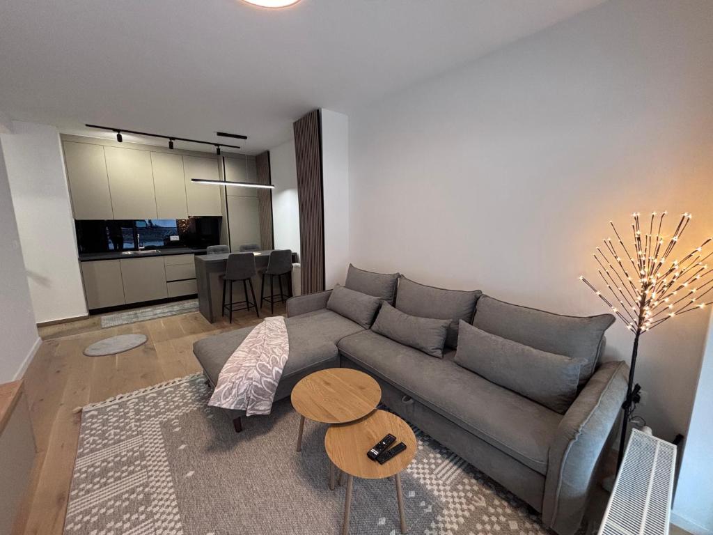 Η κουζίνα ή μικρή κουζίνα στο Bjelasnica Comfort