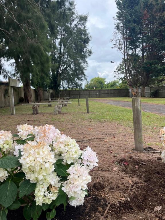 Smoke Lake Hot Springs Lodge & Camp - Resim 30