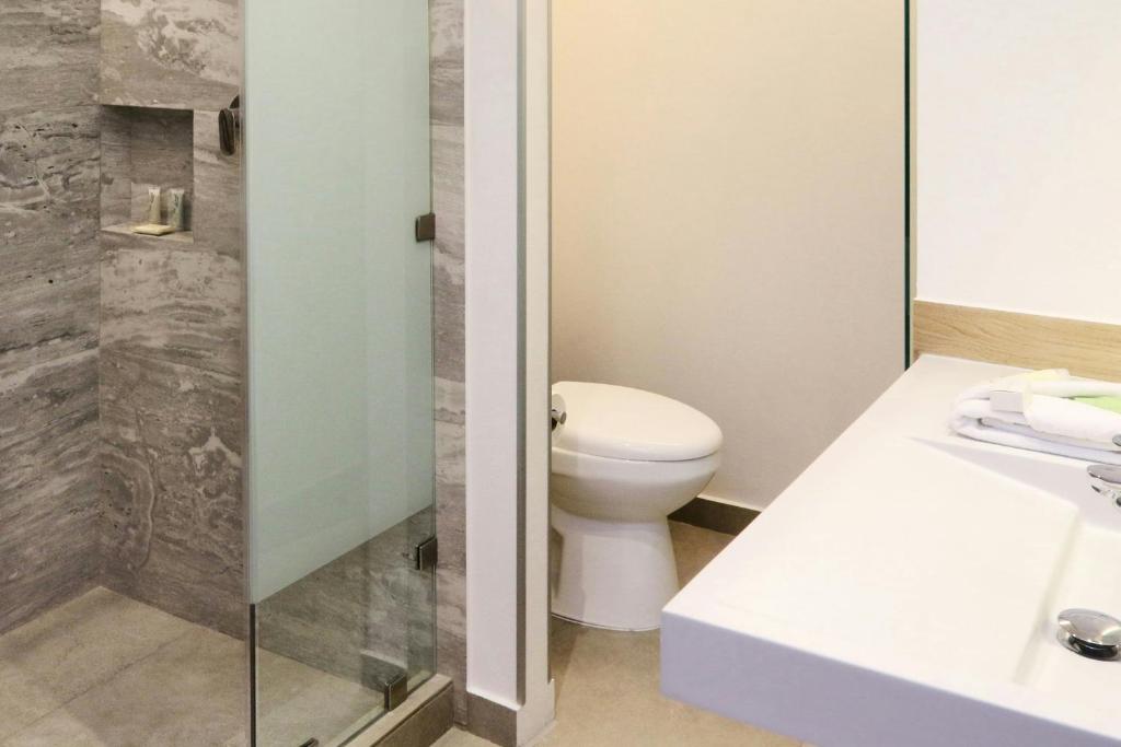 City Express Plus by Marriott Monterrey Centro, Monterrey (precios ...