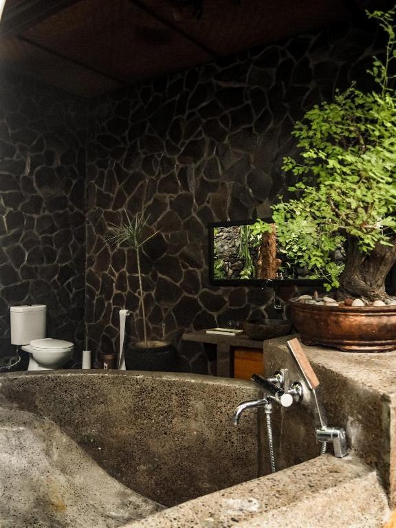 Foto sihtkohas Tejakula asuva majutusasutuse Kailash Lodge galeriist