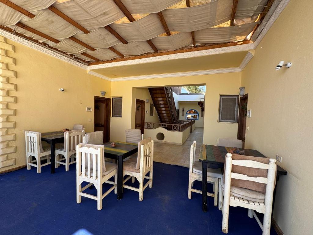 Fotografie z fotogalerie ubytování Sababa Hotel v destinaci Dahab