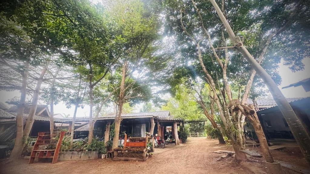 Zahrada ubytování บ้านภทรพรรณ ขุนยวม แม่ฮ่องสอน PATARAPHAN HOUSE, Khunyuam, Maehongson, Thailand