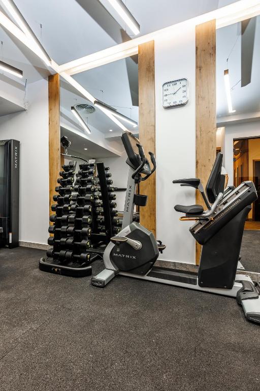 Fitness centrum a/nebo fitness zařízení v ubytování Hotel Sedlo - Golija