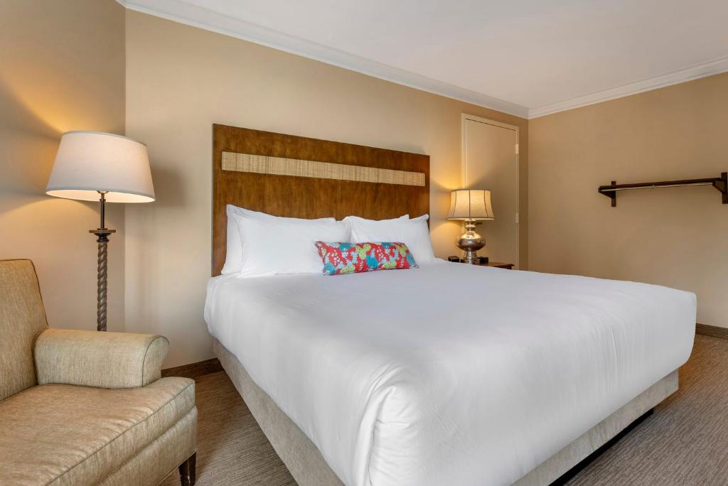 Omni Corpus Christi Hotel - Ada Deluxe Room - 1 кровать King