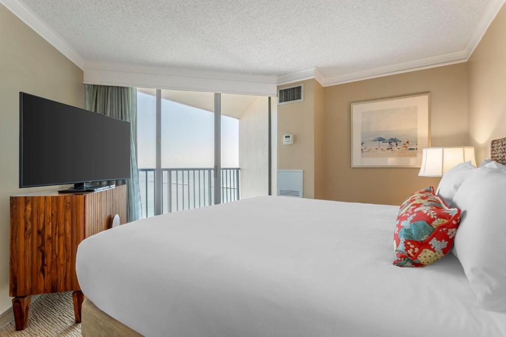 Omni Corpus Christi Hotel - Executive Suite - 1 King Bed
