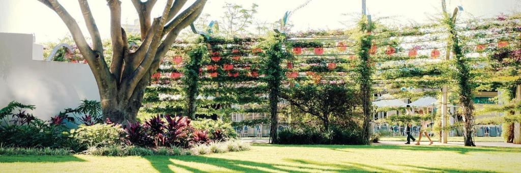 Vine Apartments South Brisbane - Resim 25