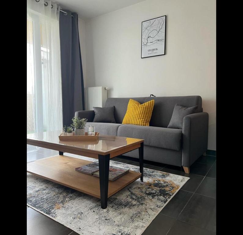 un salon avec un canapé et une table basse dans l'établissement Appartement moderne et lumineux, à Strasbourg