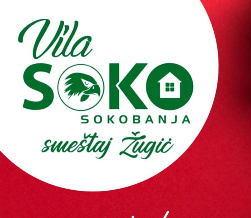 a logo for the viking sokolaniya mystery night at Vila Soko Smeštaj Žugić in Soko Banja