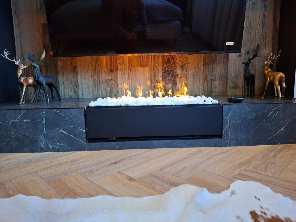 Zwierzyniecka Residence - Resim 2