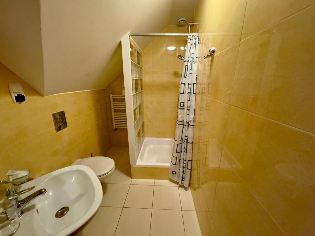 Hotel Rigga Willa Łucja - 13