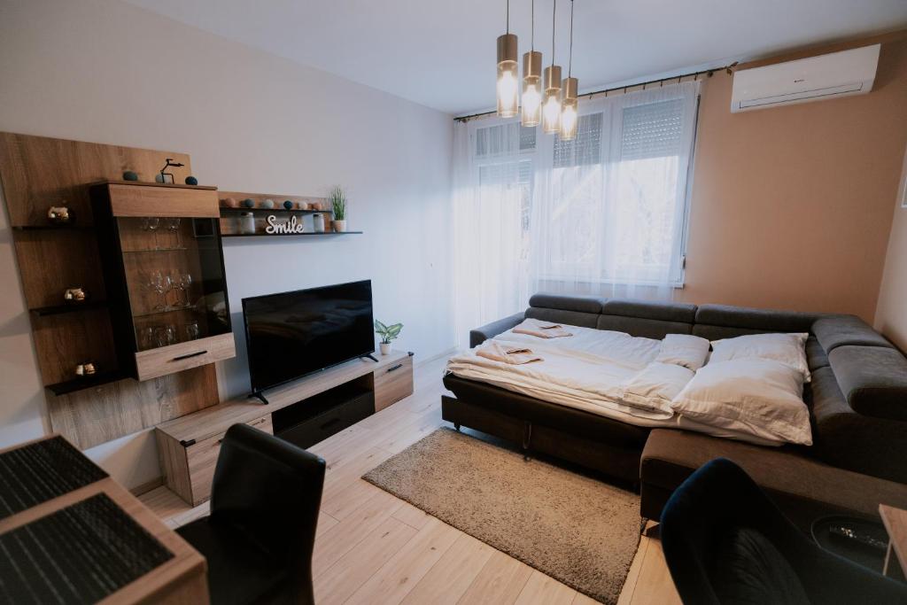 TV a/nebo společenská místnost v ubytování Viva Apartman