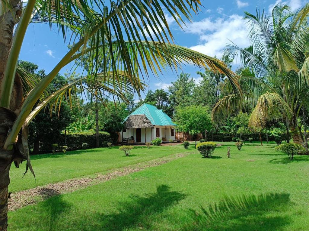a small house with a green roof in a yard at Peace and Love Garden in Mto wa Mbu