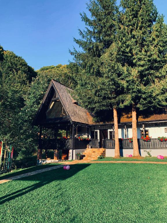 a house with a tree and a lawn with two trees at Căsuța cu doi brazi in Baia Mare