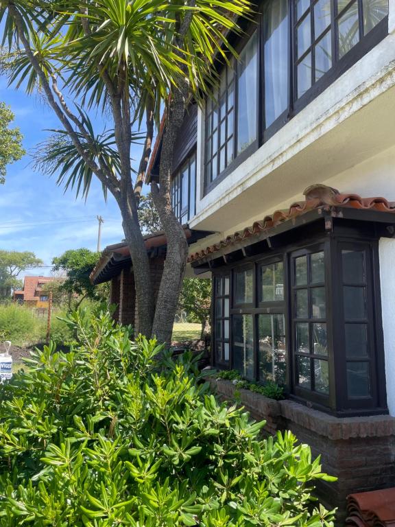 a house with a palm tree in front of it at Fedes house in Villa Gesell