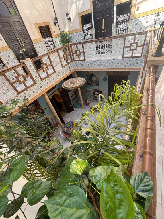 Zahrada ubytování RIAD ESMERALDA By Dar Ouezzani