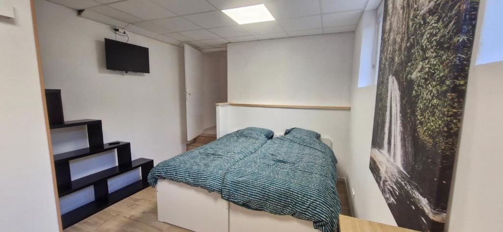 Postel nebo postele na pokoji v ubytování Studio des marmottes