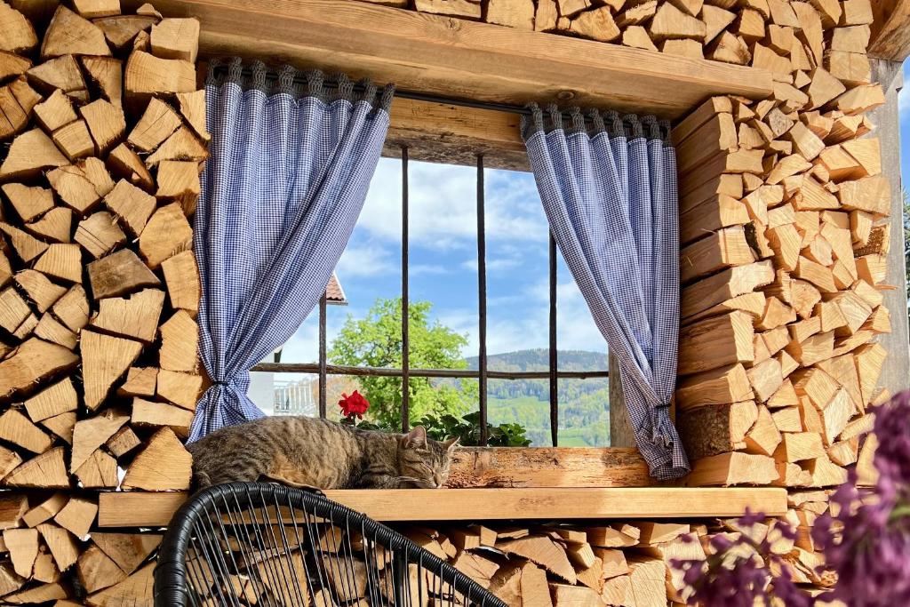 Balkón nebo terasa v ubytování Gästehaus Drachennest