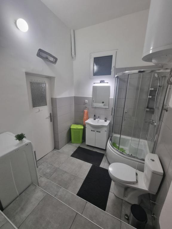 a bathroom with a shower and a toilet and a sink at BIG APARTMAN BELA CRKVA in Bela Crkva