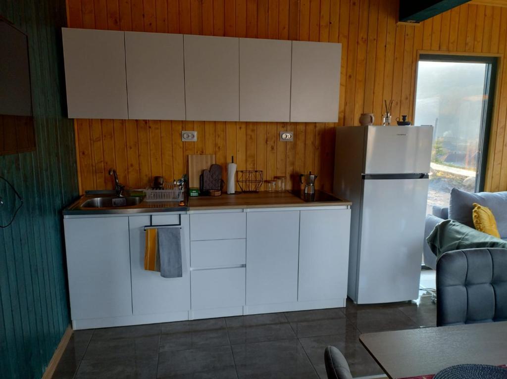 Kuchyň nebo kuchyňský kout v ubytování Varadeo Hill Resort