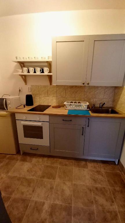 Kuchyň nebo kuchyňský kout v ubytování Apartmány Karlštejn