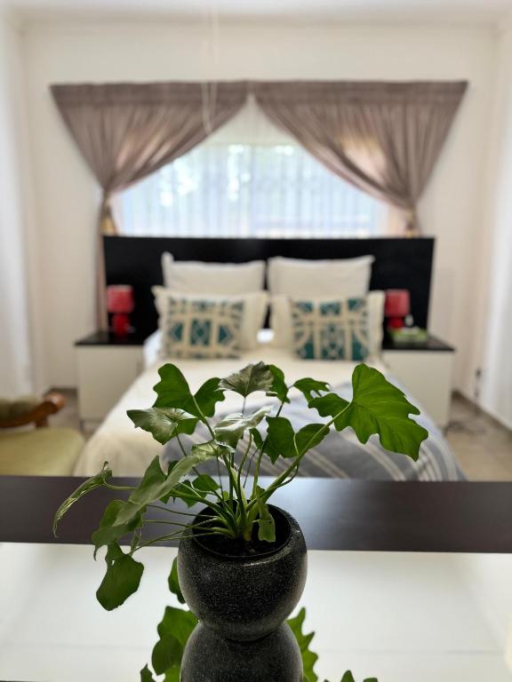 a potted plant sitting on a table in a bedroom at The Herby Taylor Guest House in Vereeniging