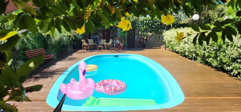Kolam renang di atau dekat dengan Iguassu Guest Country House